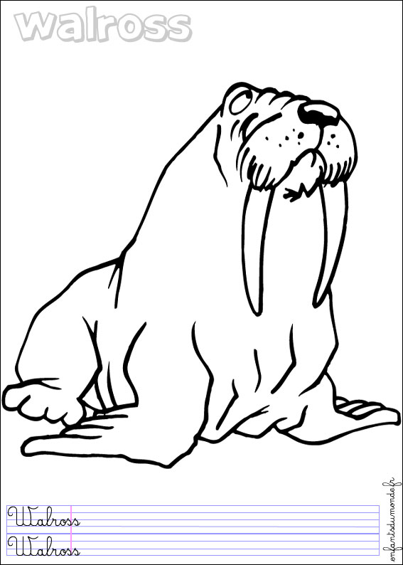 coloriage morse 1